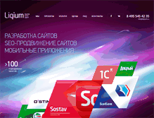 Tablet Screenshot of liqium.ru